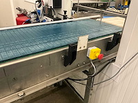 Elektrische rvs transportband beerepoot - afbeelding 9 van  18