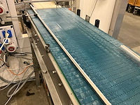 Elektrische rvs transportband beerepoot - afbeelding 13 van  18