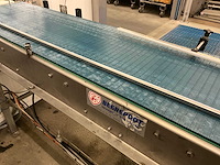 Elektrische rvs transportband beerepoot - afbeelding 15 van  18