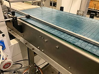 Elektrische rvs transportband beerepoot - afbeelding 16 van  18