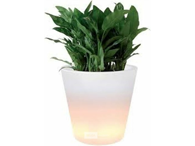 Elho ambiance led - afbeelding 1 van  3