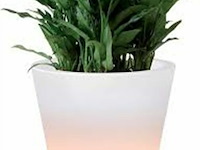 Elho ambiance led - afbeelding 1 van  3