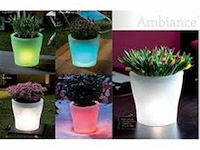 Elho ambiance led - afbeelding 2 van  3