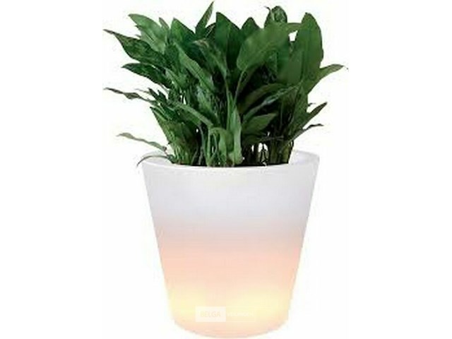 Elho ambiance led - afbeelding 1 van  3