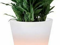 Elho ambiance led - afbeelding 1 van  3