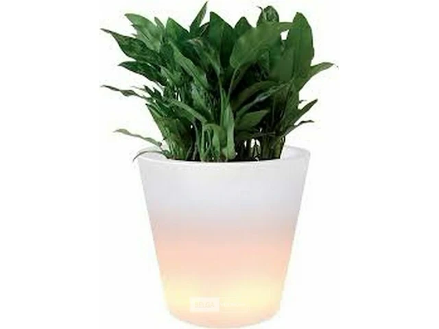 Elho ambiance led - afbeelding 1 van  3