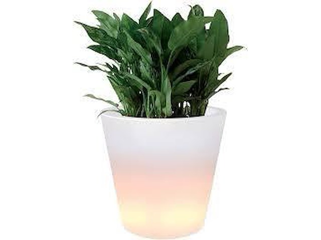 Elho ambiance led - afbeelding 1 van  3