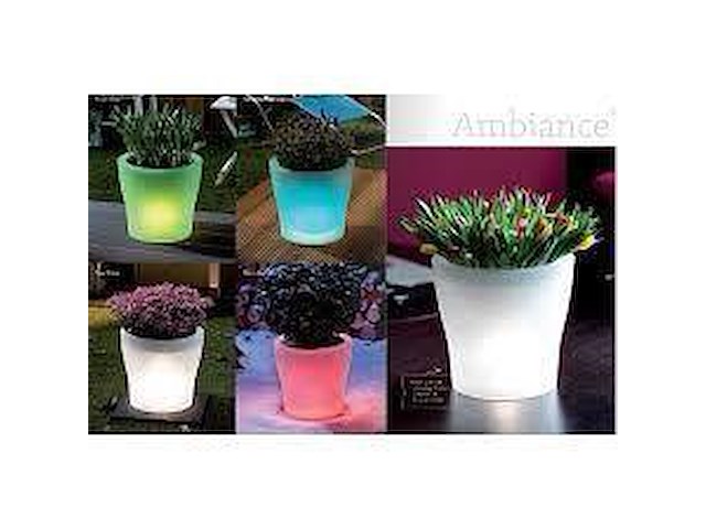 Elho ambiance led - afbeelding 2 van  3