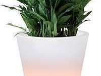 Elho ambiance led - afbeelding 1 van  3