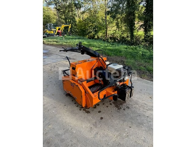 Eliet gzc100 2017 grasvlinder - afbeelding 2 van  6