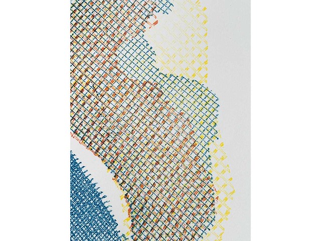 Ellen - kleurenzeefdruk - afbeelding 5 van  6