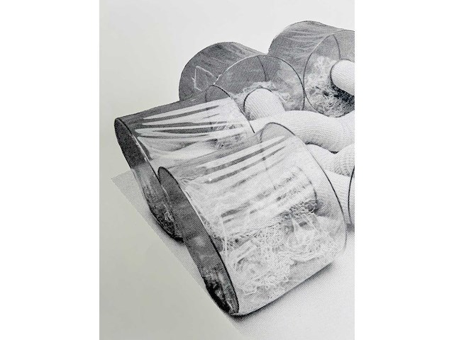 Ellie vossen - 7 plus 1 - zeefdruk - vanaf 5 euro - afbeelding 1 van  1