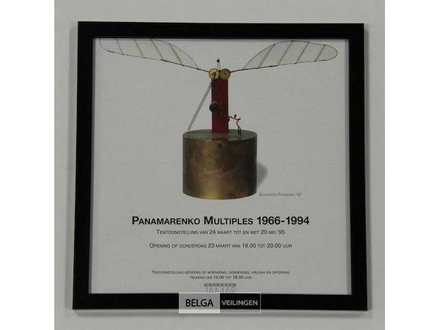 Encarsia formosa - afbeelding 2 van  2