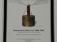 Encarsia formosa - afbeelding 2 van  2