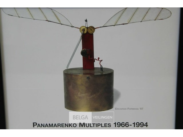 Encarsia formosa - afbeelding 1 van  2