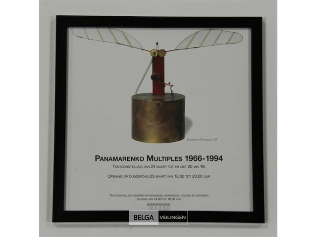 Encarsia formosa - afbeelding 2 van  2