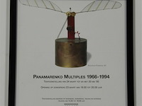 Encarsia formosa - afbeelding 2 van  2