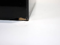 Energy speaker (x2- - afbeelding 4 van  6