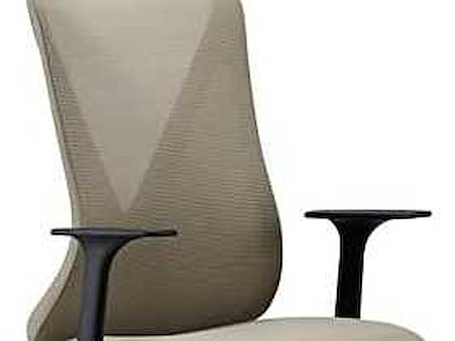 Ergonomische bureaustoel voor thuis - afbeelding 1 van  8