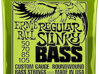 Ernie ball regular slinky nickel wound elektrische basgitaarsnaren - afbeelding 1 van  3
