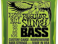 Ernie ball regular slinky nickel wound elektrische basgitaarsnaren - afbeelding 3 van  3