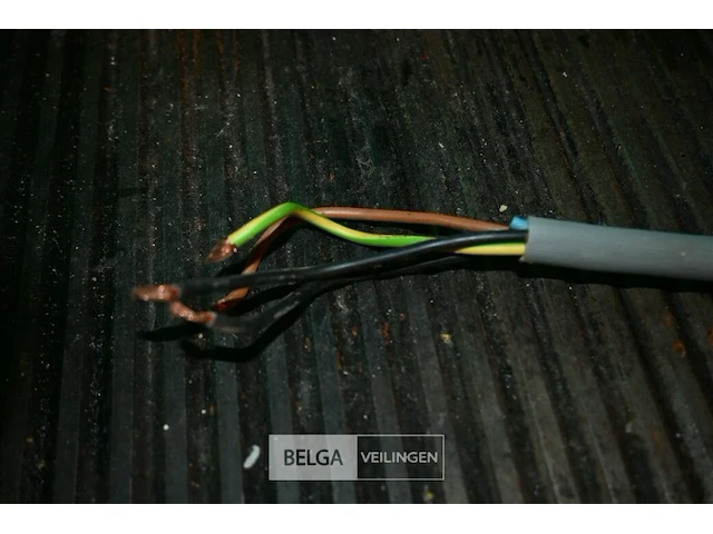 Erre 2 professionele grill - afbeelding 4 van  8