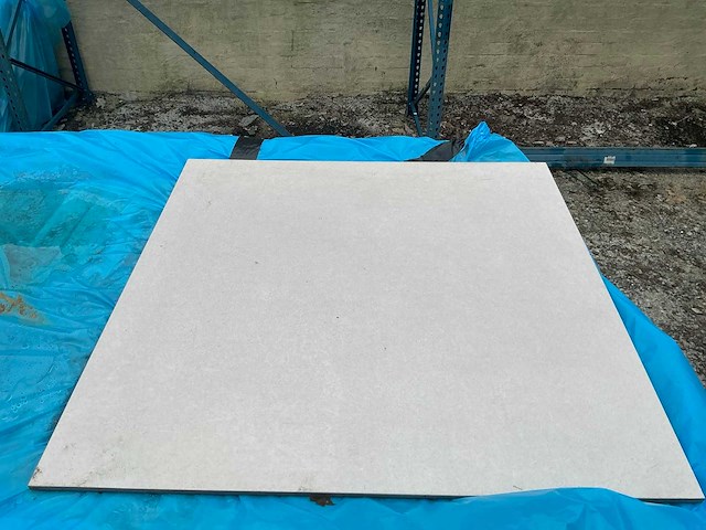 Ess. pulpis gris vloertegel (240x) - afbeelding 1 van  3