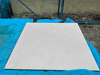 Ess. pulpis gris vloertegel (240x) - afbeelding 1 van  3