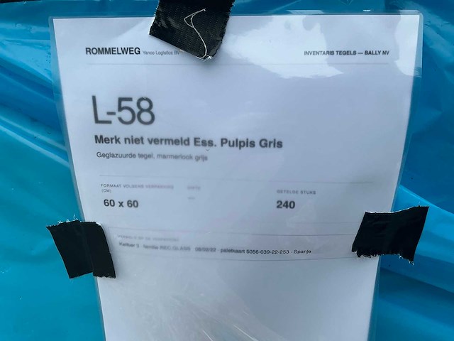 Ess. pulpis gris vloertegel (240x) - afbeelding 2 van  3