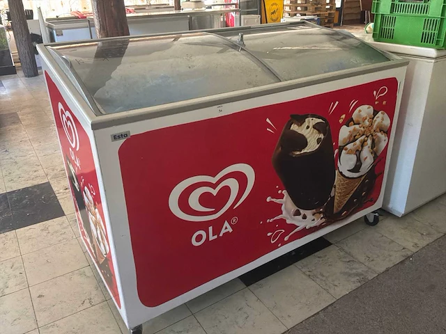 Esta ijsvrieskast - afbeelding 3 van  4