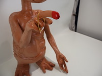 Et groot - afbeelding 6 van  9