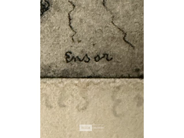 Ets-ensor - afbeelding 3 van  3