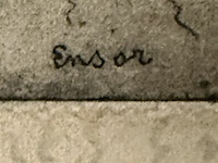 Ets-ensor - afbeelding 3 van  3