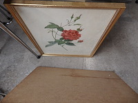 Ets + kader bloem - afbeelding 2 van  2