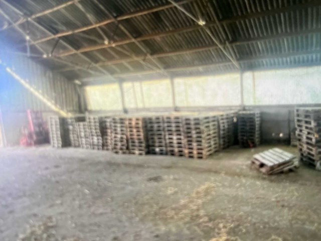 Euro euro pallets euro paletten (430x) - afbeelding 1 van  2