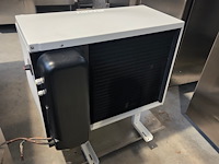 Everlasting - afbeelding 18 van  21