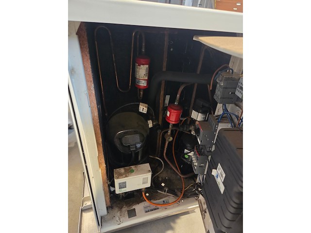 Everlasting - afbeelding 20 van  21