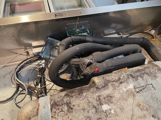 Everlasting - afbeelding 11 van  14