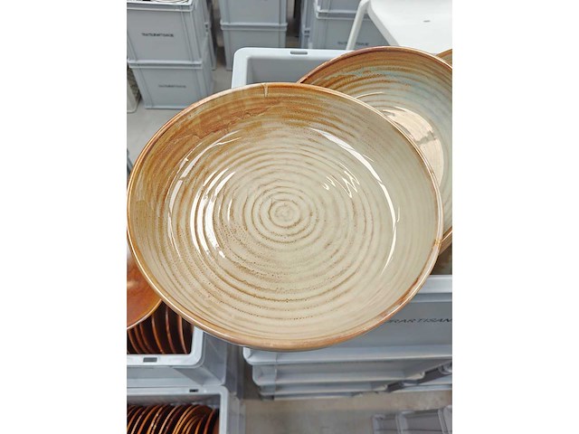 F2d - diep bord - porselein: diepe borden f2d bruin (53x) - afbeelding 3 van  3