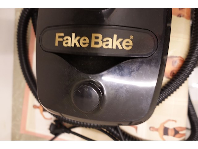 Fakeblake, lamp & tent - afbeelding 2 van  6