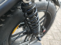 Fatbike c80 pro - 2025 model - afbeelding 19 van  31