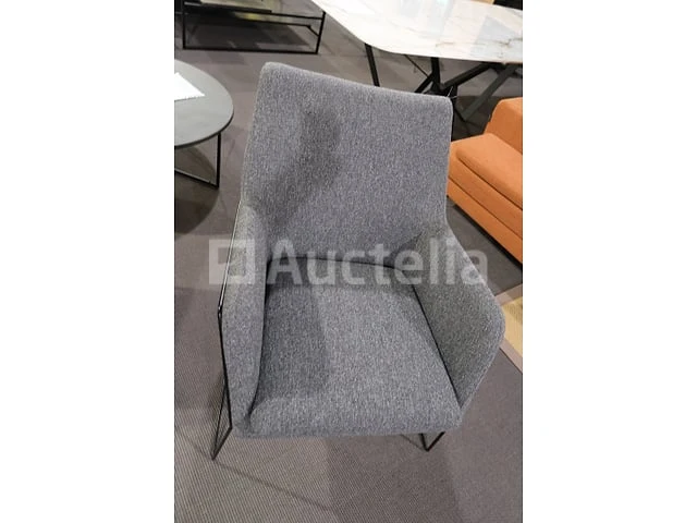 Fauteuil - afbeelding 1 van  5