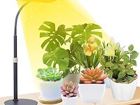 Fecida bureau groeilamp - afbeelding 1 van  5
