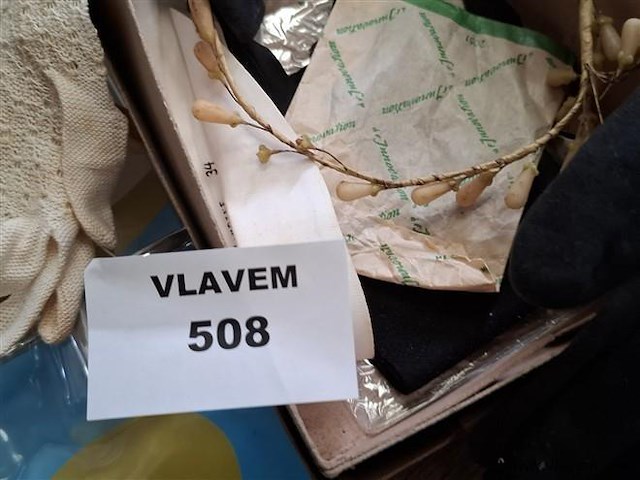 Feestaccesoires - afbeelding 3 van  4