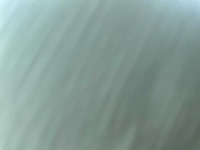 Fendt 924 vario tractor - afbeelding 16 van  38