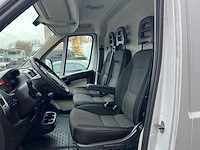 Fiat - ducato - 250 - van - afbeelding 16 van  16
