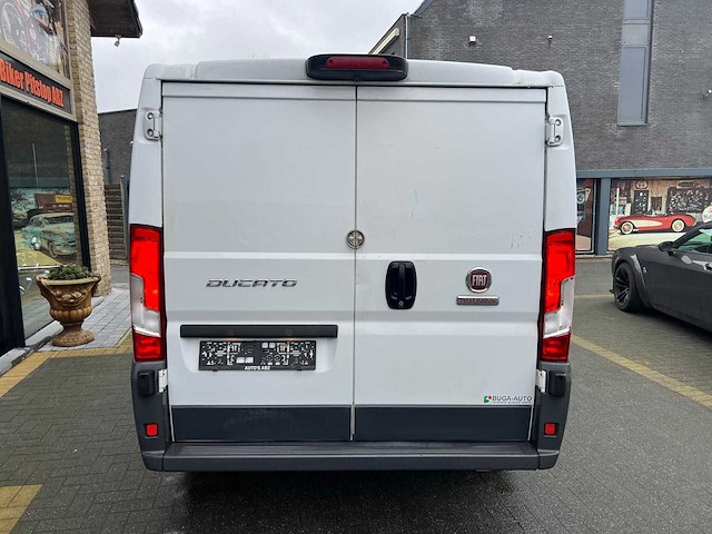 Fiat - ducato - 250 - van - afbeelding 16 van  16