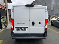 Fiat - ducato - 250 - van - afbeelding 16 van  16