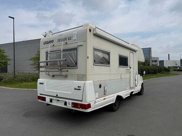 Fiat - ducato - urbano pegaso 63 - caravan - afbeelding 5 van  41