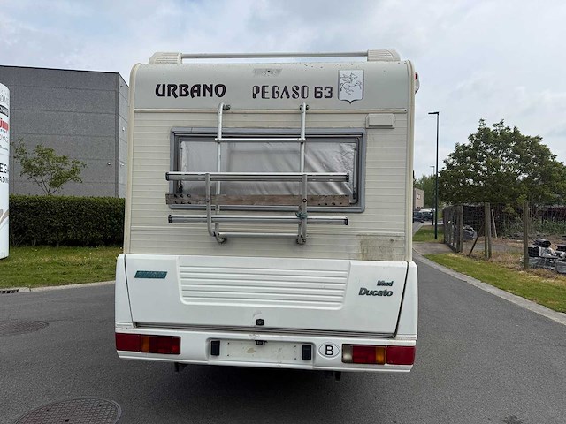 Fiat - ducato - urbano pegaso 63 - caravan - afbeelding 7 van  41